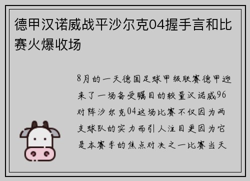 德甲汉诺威战平沙尔克04握手言和比赛火爆收场